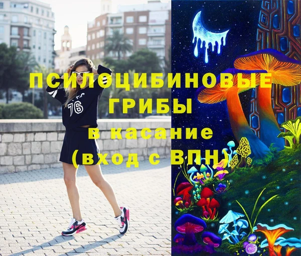 гидропоника Вяземский