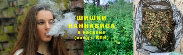 гидропоника Вяземский