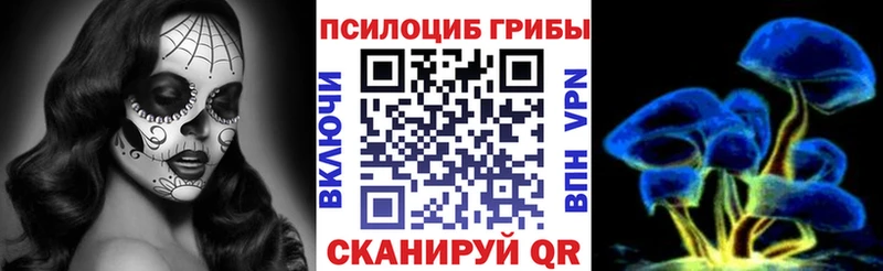 Галлюциногенные грибы GOLDEN TEACHER  Купить где  Сальск 